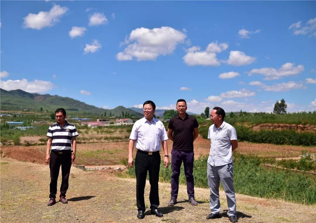 �����ε��а����ƻ��ׯ԰�����ۺ�...